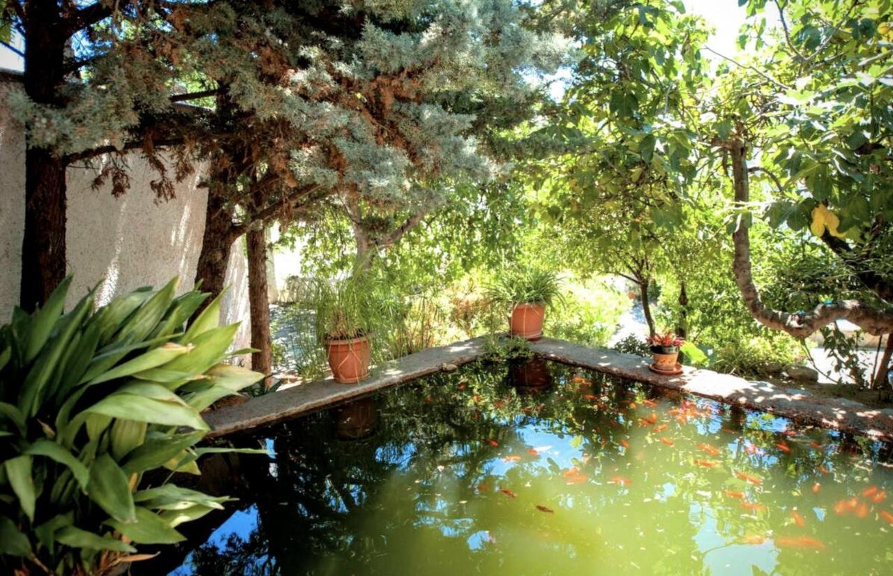 Casa Jazmin Otel Orgiva Dış mekan fotoğraf