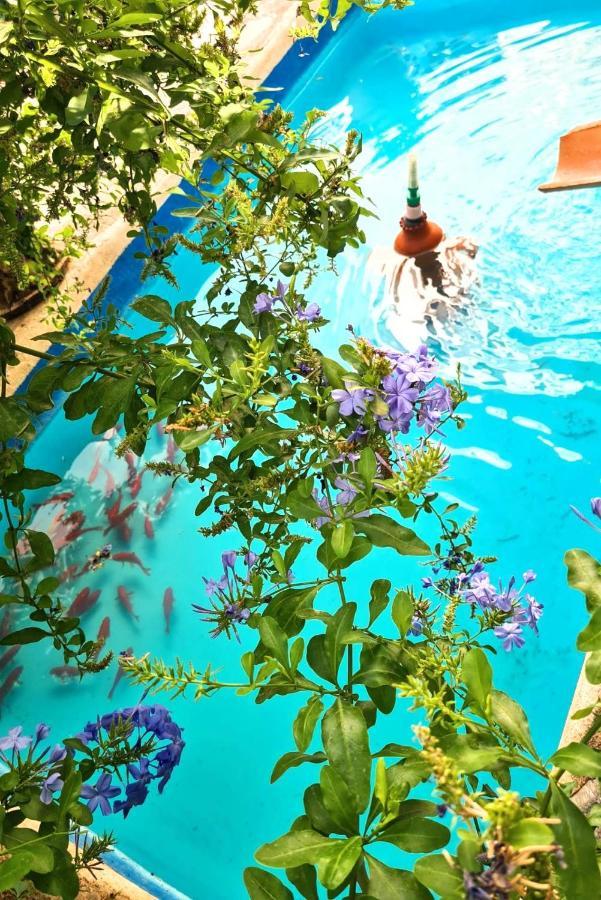 Casa Jazmin Otel Orgiva Dış mekan fotoğraf